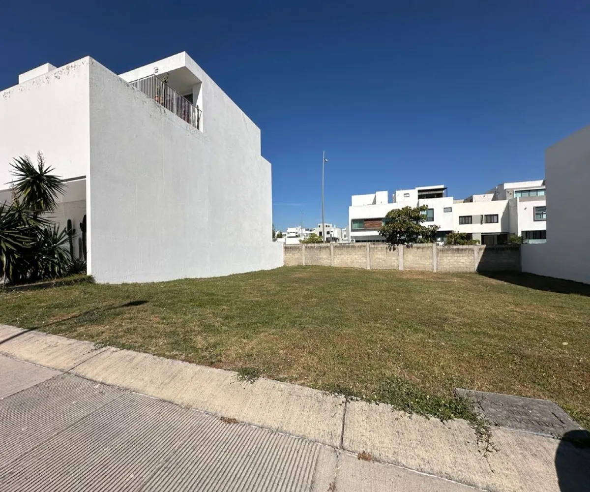 Terreno En Venta,Parque Metropolitano,Paseo Lluvia De Oro 1003 Lote 8, Zapopan, Jalisco 45037,Paseo Lluvia De Oro,p6XnvaX