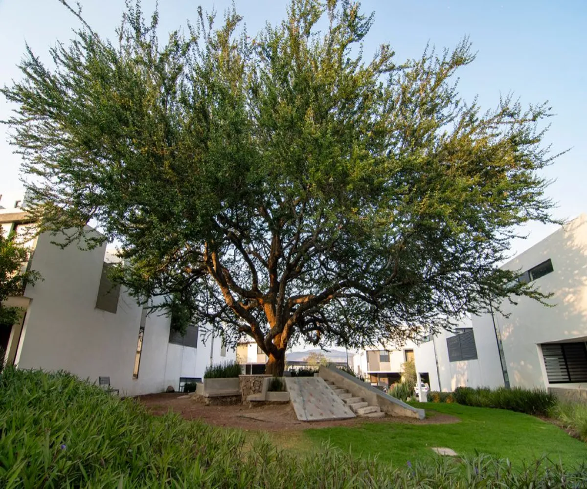 Casa En Venta,Santa Ana Tepetitlán,Prolongación Mariano Otero 3815, Zapopan, Jalisco 45230, 3 Habitaciones,2 Baños,Prolongación Mariano Otero,1,p4waSng