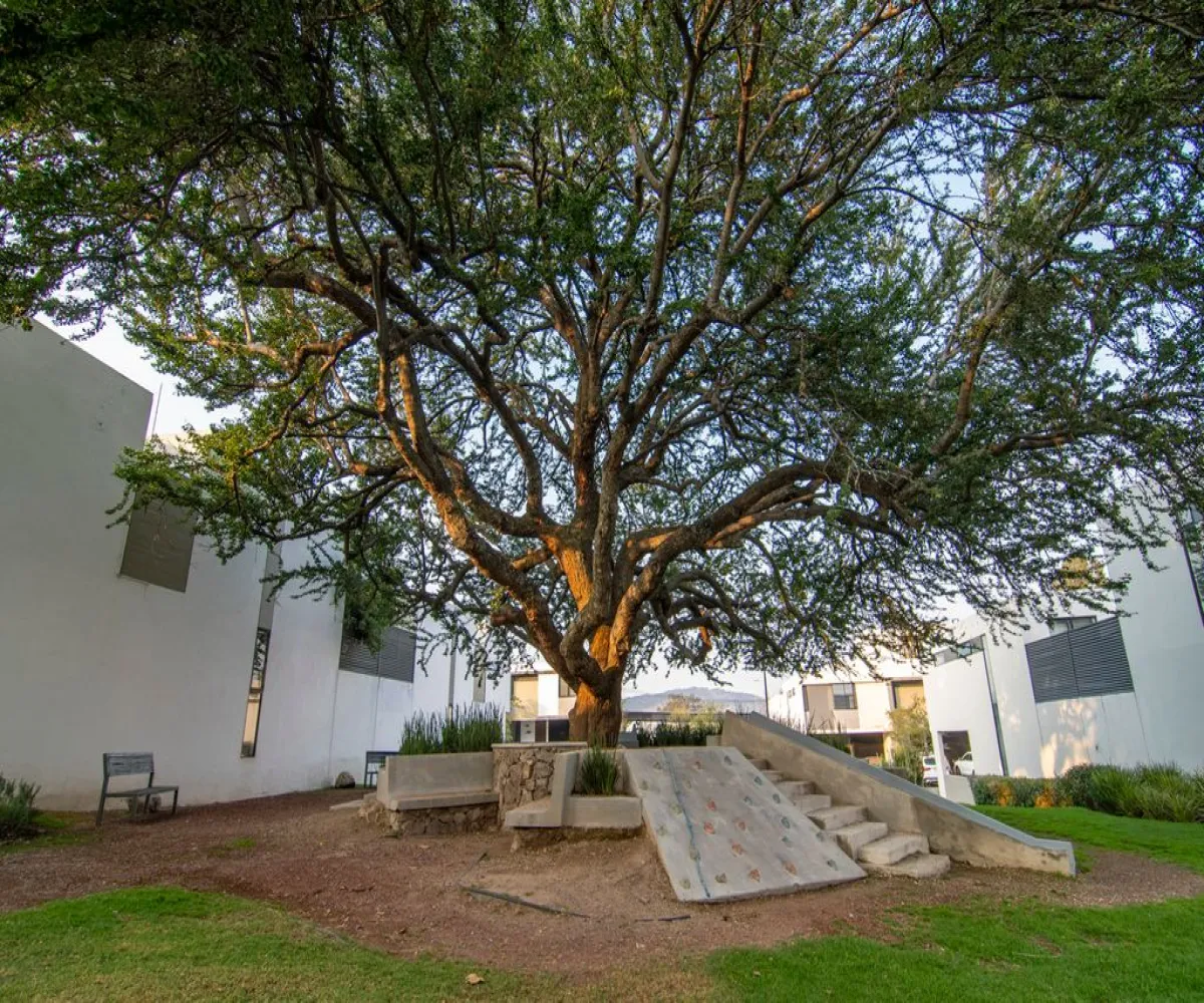 Casa En Venta,Santa Ana Tepetitlán,Prolongación Mariano Otero 3815, Zapopan, Jalisco 45230, 3 Habitaciones,2 Baños,Prolongación Mariano Otero,1,p4waSng