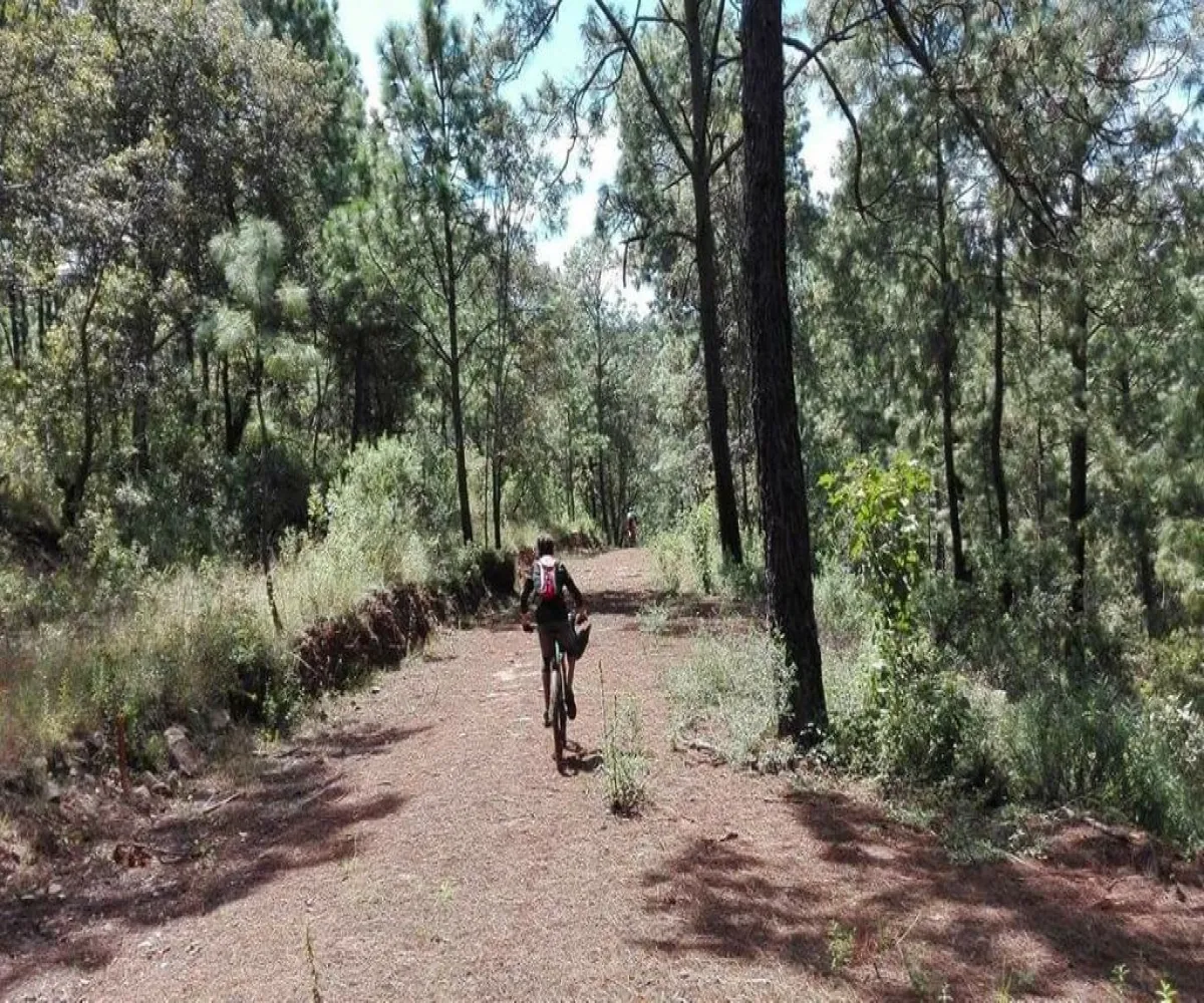 Terreno En Venta,Lomas Verdes,Avenida Conalep S/N, Mazamitla, Jalisco 49500,Avenida Conalep,p1IfSN9