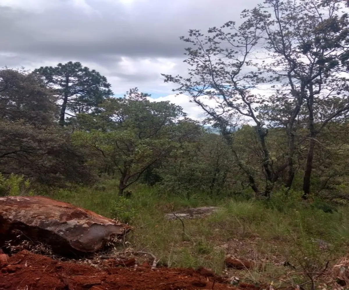 Terreno En Venta,Lomas Verdes,Avenida Conalep S/N, Mazamitla, Jalisco 49500,Avenida Conalep,p1IfSN9