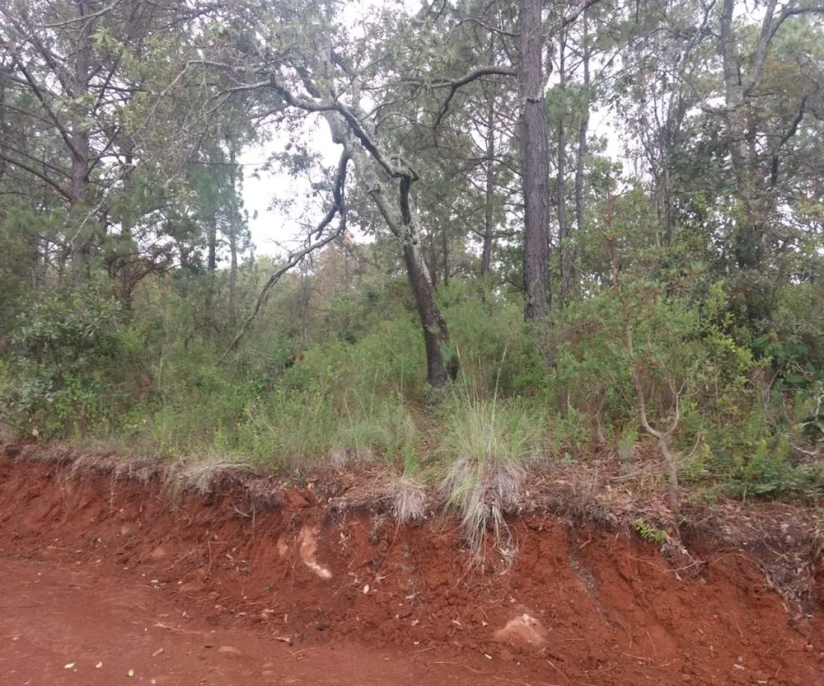 Terreno En Venta,Lomas Verdes,Avenida Conalep S/N, Mazamitla, Jalisco 49500,Avenida Conalep,p1IfSN9