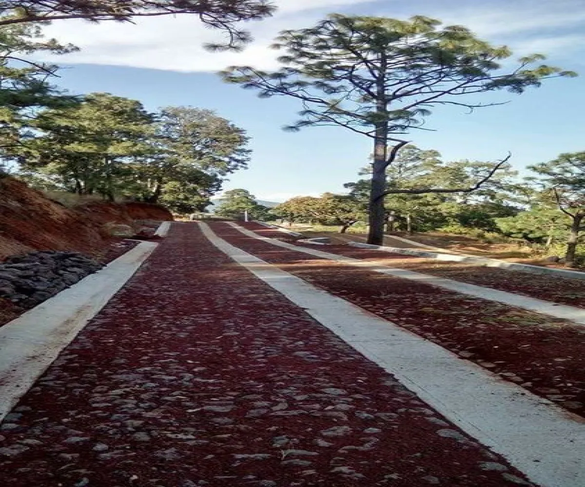 Terreno En Venta,Lomas Verdes,Avenida Conalep S/N, Mazamitla, Jalisco 49500,Avenida Conalep,p1IfSN9