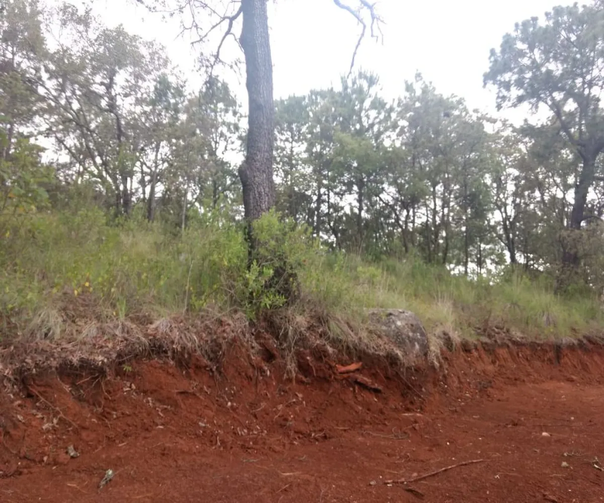 Terreno En Venta,Lomas Verdes,Avenida Conalep S/N, Mazamitla, Jalisco 49500,Avenida Conalep,p1IfSN9