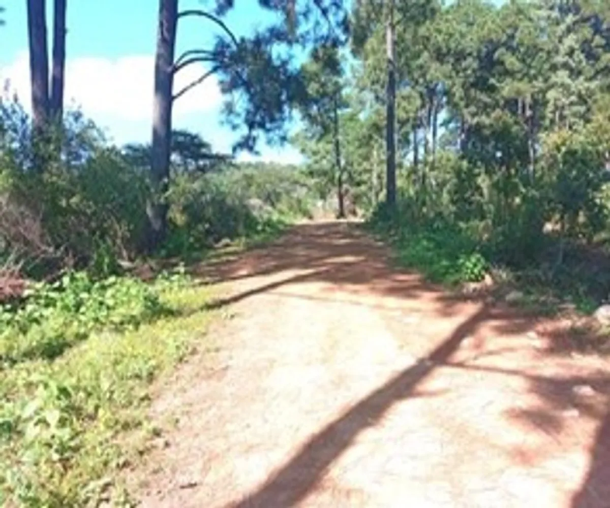 Terreno En Venta,Tapalpa,Casa Blanca S/N, Tapalpa, Jalisco 49340,Casa Blanca,pPCGlvm
