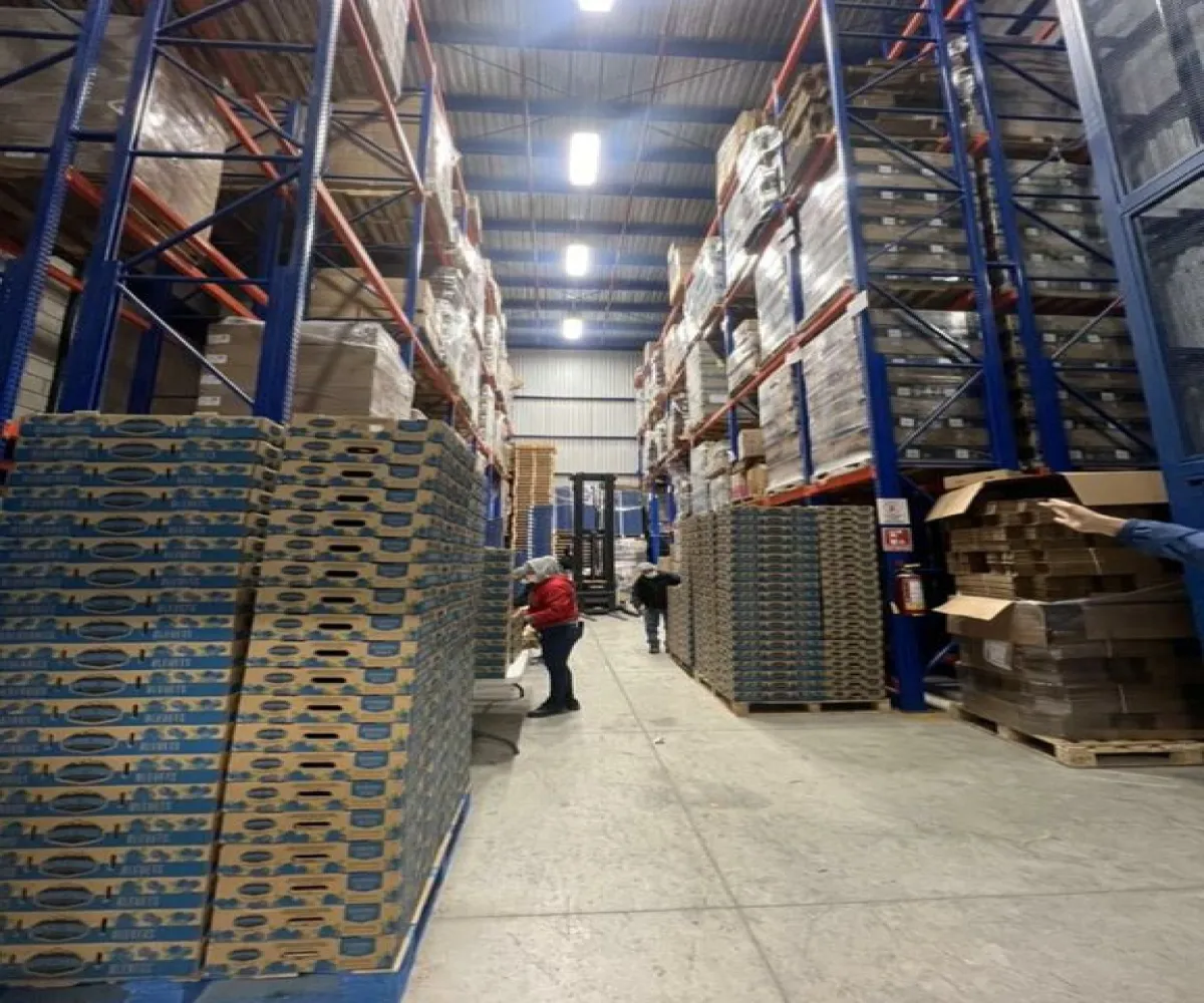 Bodega En Venta,A Tala - san marcos km 2.5 S/N, Tala, Jalisco 45310,1 Baño,A Tala - san marcos km 2.5,1,poVd12y