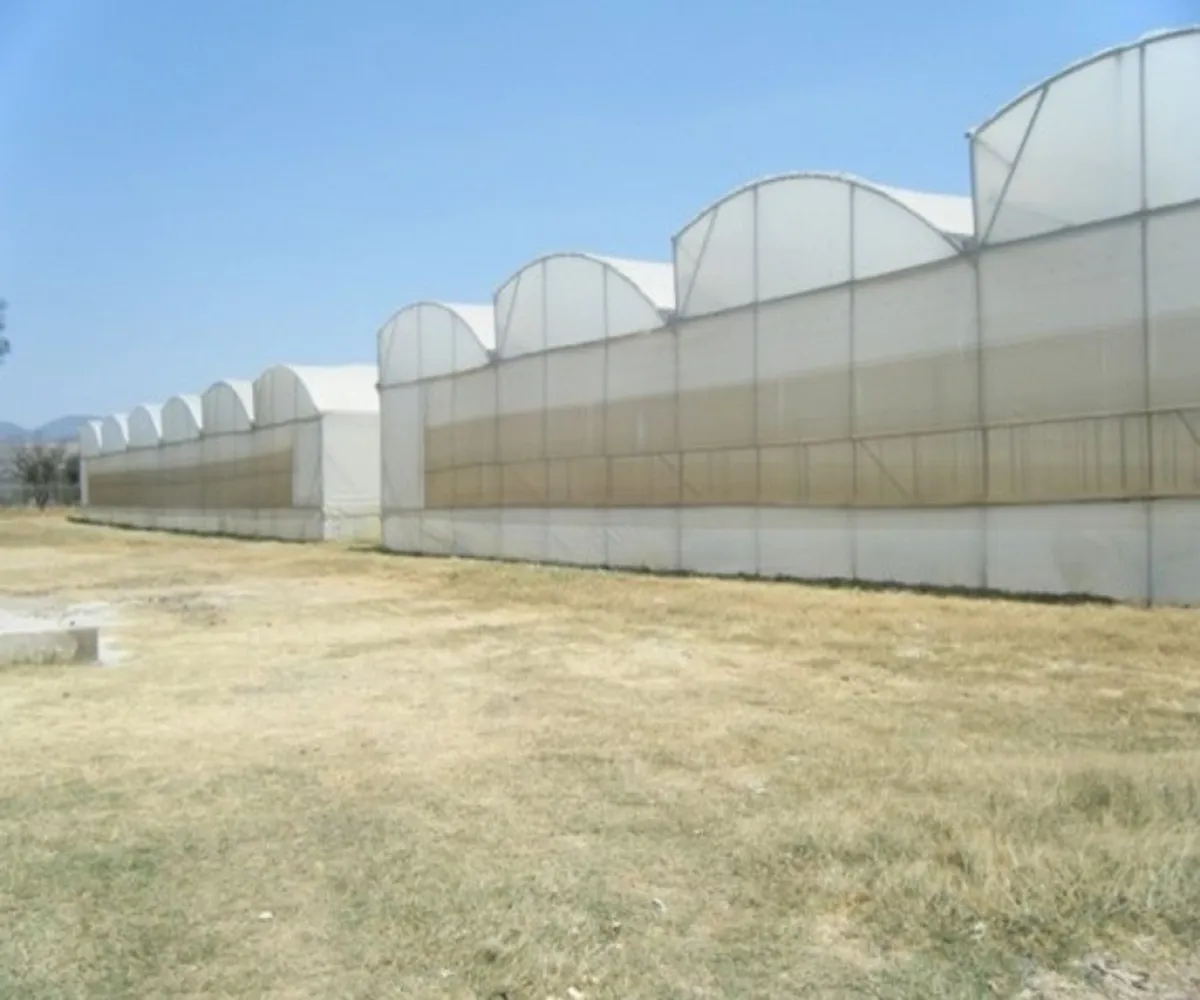 Terreno En Venta,Camino a la Posta, La Cofradia del Rosario S/N, Ciudad Guzmá S/N, Zapotlán el Grande, Jalisco 49032,Camino a la Posta, La Cofradia del Rosario S/N, Ciudad Guzmá,pKnd0YS