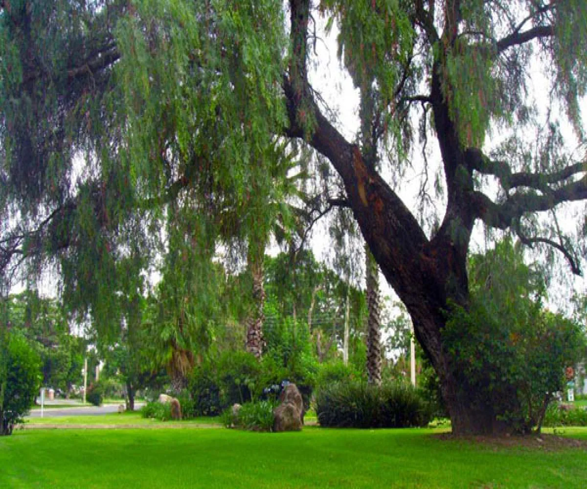 Valle Real,Zapopan, Jalisco 45019,1019 Valle Real,Zapopan, Jalisco 45019,1019