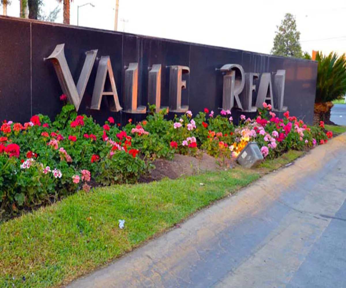 Valle Real,Zapopan, Jalisco 45019,1019