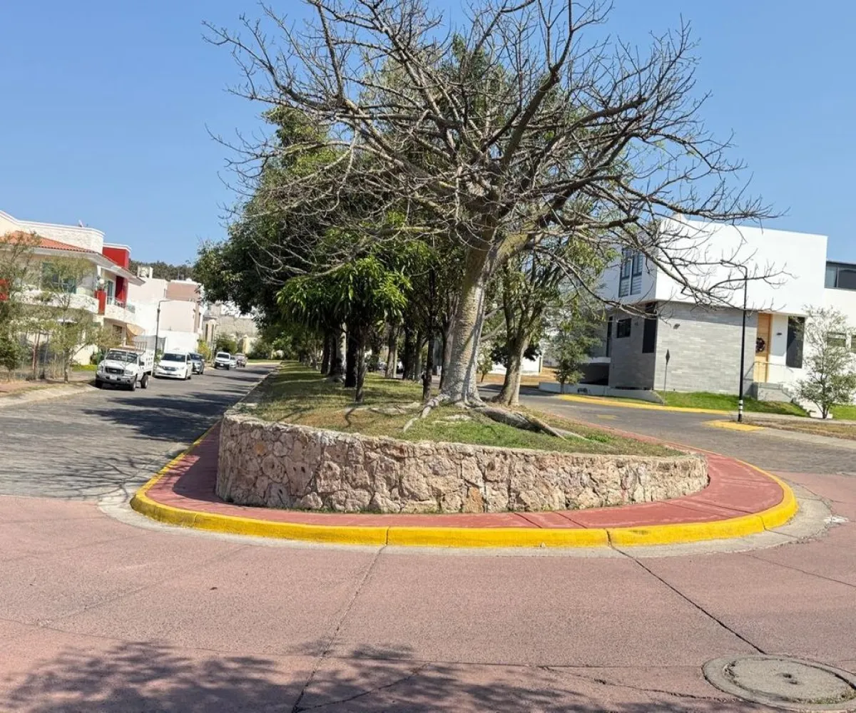 Terreno En Venta,Los Robles,Avenida Doctor Angel Leaño 555, Zapopan, Jalisco 45134,Avenida Doctor Angel Leaño,pwwbdKU