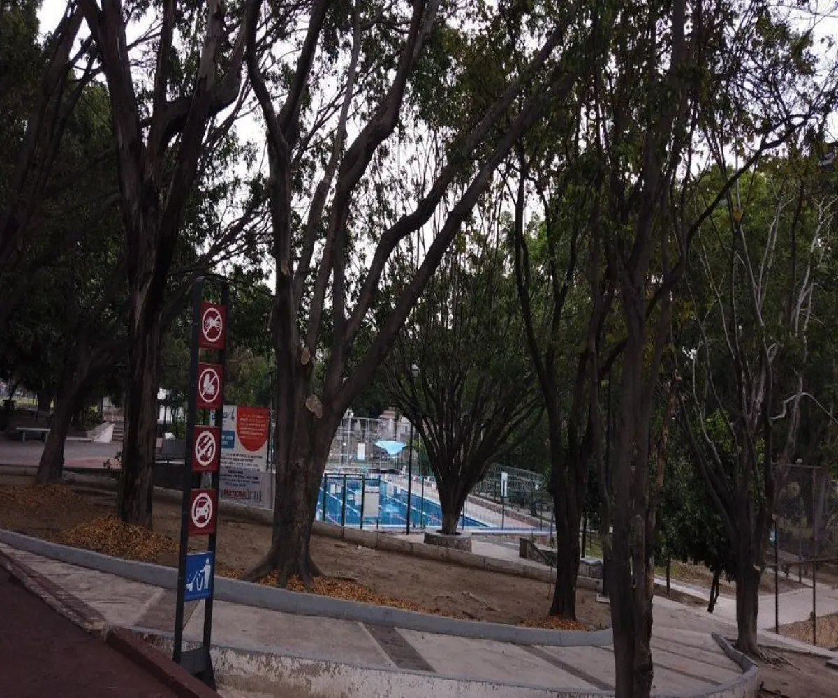 Casa En Venta,Jardines Alcalde,Marcelino Davalos 504, Guadalajara, Jalisco 44298, 6 Habitaciones,6 Baños,Marcelino Davalos,2,pDM7mKe