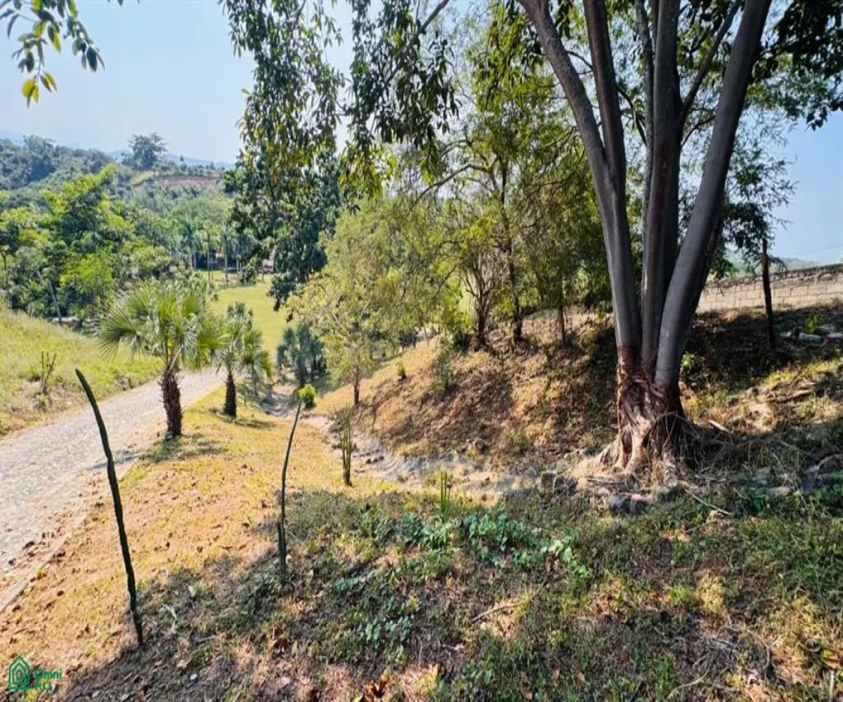 Terreno En Venta,Las Palmas de Arriba,544 Km 71, Puerto Vallarta, Jalisco 48260, 5 Habitaciones,4 Baños,544,MX251054117