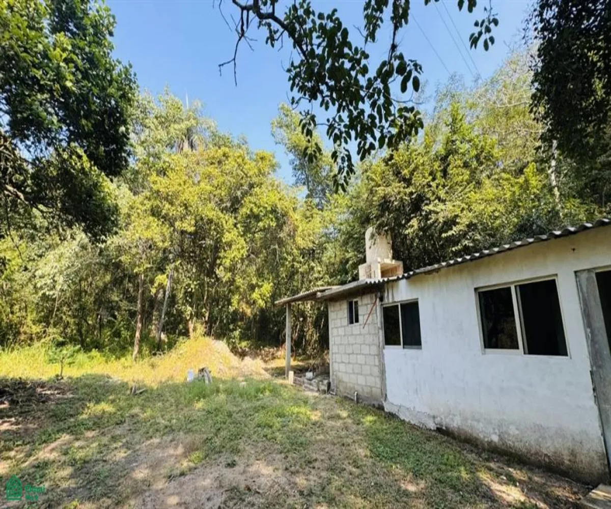 Terreno En Venta,Las Palmas de Arriba,544 Km 71, Puerto Vallarta, Jalisco 48260, 5 Habitaciones,4 Baños,544,MX251054117