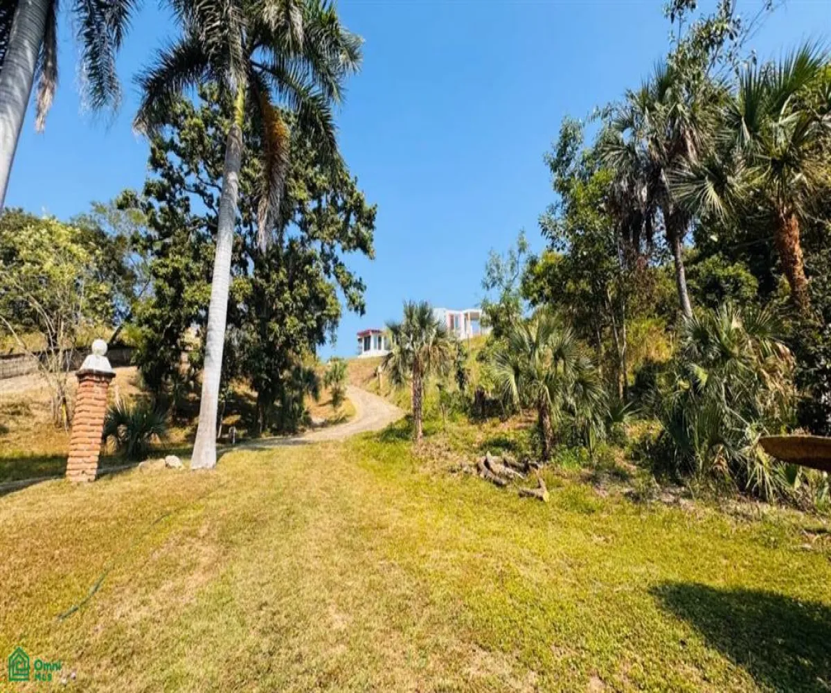 Terreno En Venta,Las Palmas de Arriba,544 Km 71, Puerto Vallarta, Jalisco 48260, 5 Habitaciones,4 Baños,544,MX251054117