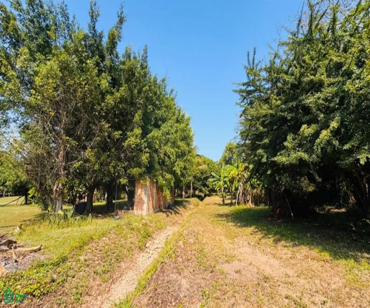 Terreno En Venta,Las Palmas de Arriba,544 Km 71, Puerto Vallarta, Jalisco 48260, 5 Habitaciones,4 Baños,544,MX251054117