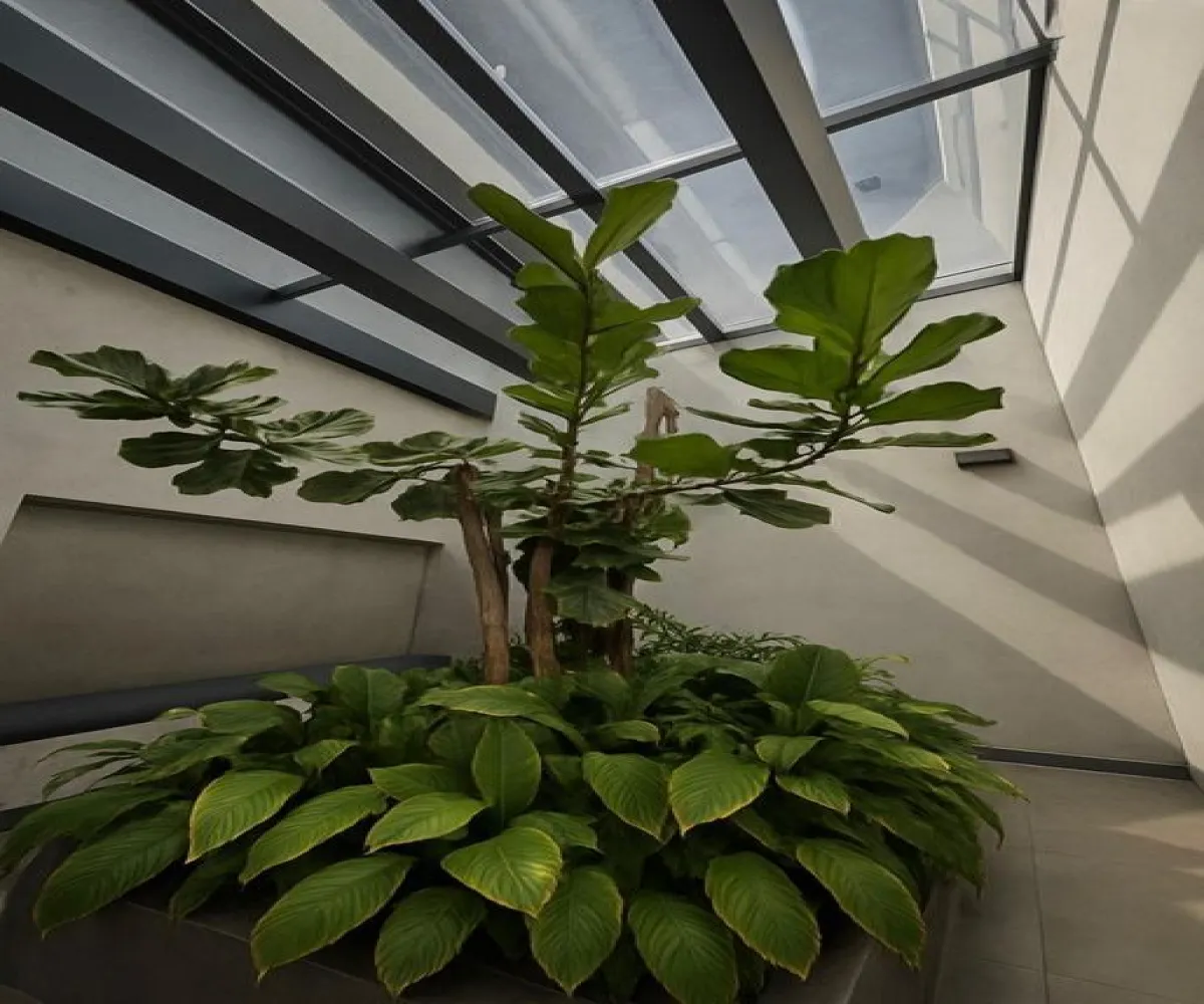 Oficina En Renta,Ciudad del Sol,Calle Quetzalcóatl 428, Zapopan, Jalisco 45050,1 Baño,Calle Quetzalcóatl,1,p35eVPv