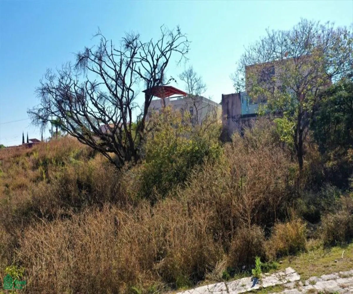 Terreno En Venta,Brisas de Chapala,Brisas del Norte Lote 7 MZ 3, Chapala, Jalisco 45901,Brisas del Norte,MX251055542