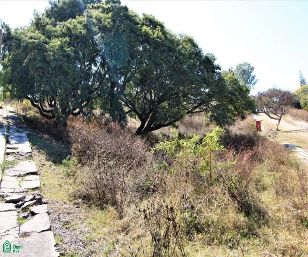 Terreno En Venta,Brisas de Chapala,Calle Brisas del Norte Lote 1 MZ 3, Chapala, Jalisco 45901,Calle Brisas del Norte,MX251055545