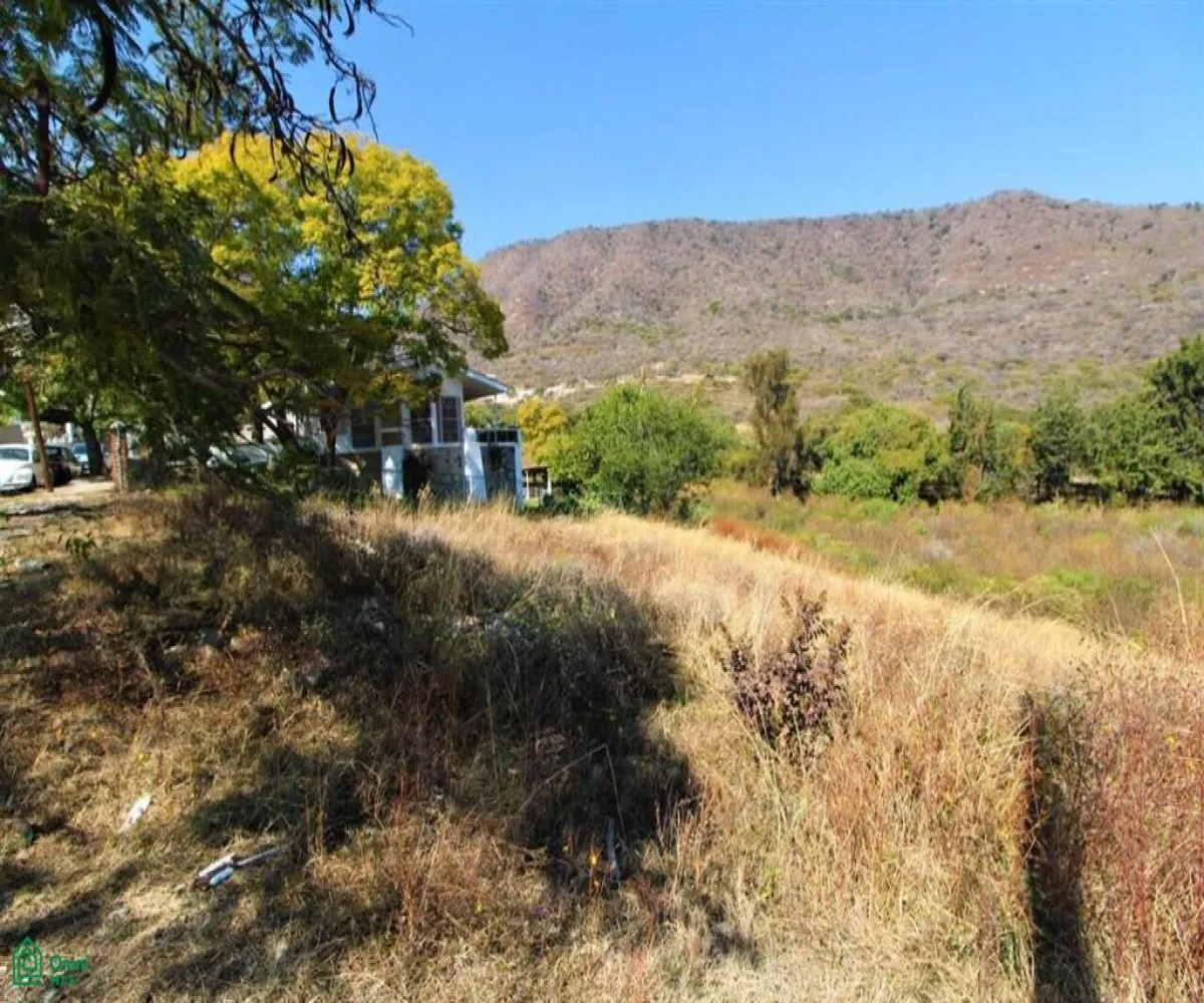 Terreno En Venta,Brisas de Chapala,Calle Brisas del Norte Lote 31 MZ 11, Chapala, Jalisco 45901,Calle Brisas del Norte,MX251055548