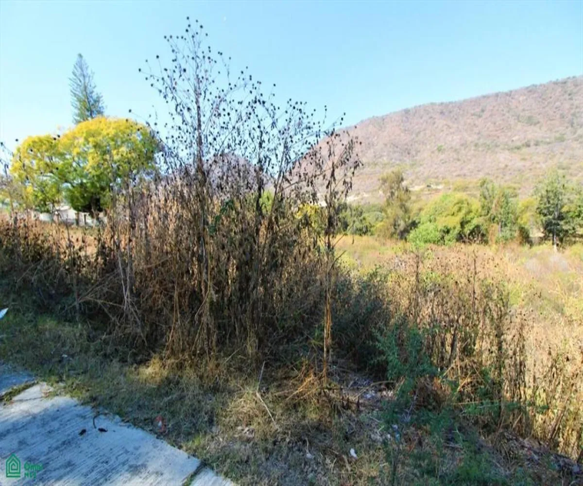 Terreno En Venta,Brisas de Chapala,Brisas del Norte Lote 30 MZ 11, Chapala, Jalisco 45901,Brisas del Norte,MX251055549