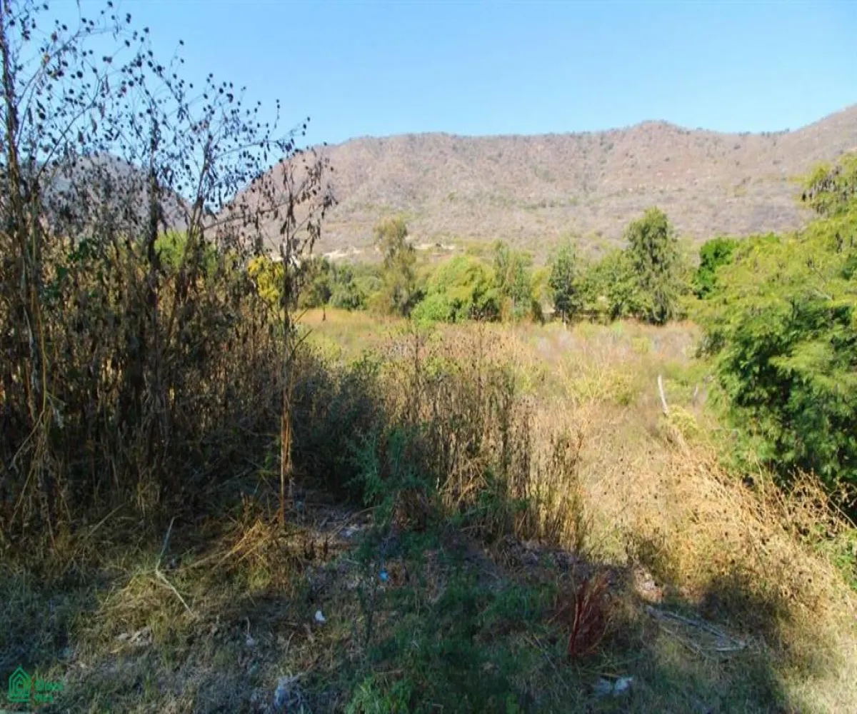 Terreno En Venta,Brisas de Chapala,Brisas del Norte Lote 30 MZ 11, Chapala, Jalisco 45901,Brisas del Norte,MX251055549