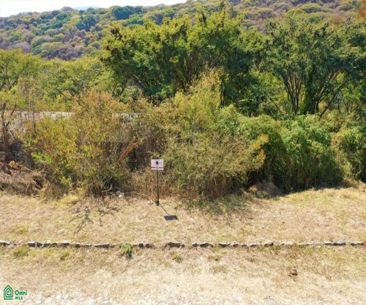 Terreno En Venta,Brisas de Chapala,Brisas del Sur Lote 79 MZ 11, Chapala, Jalisco 45901,Brisas del Sur,MX251055550