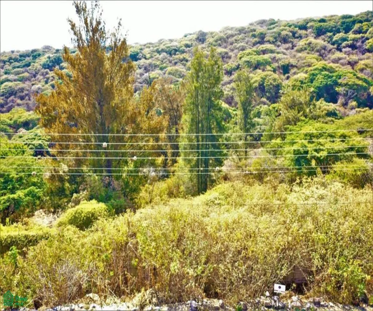 Terreno En Venta,Brisas de Chapala,Brisas del Sur Lote 78 MZ 11, Chapala, Jalisco 45901,Brisas del Sur,MX251055597