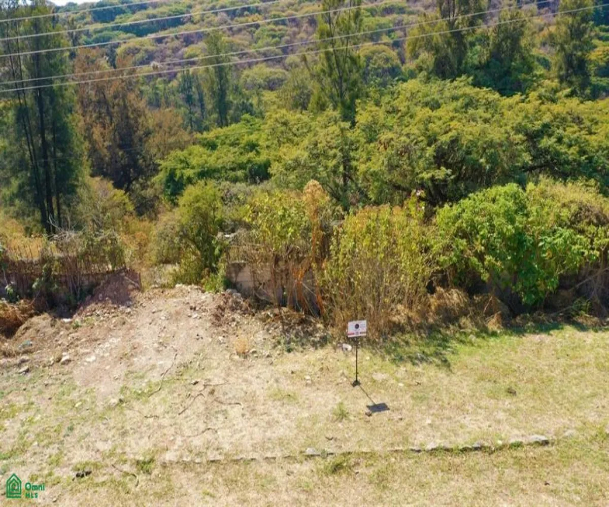 Terreno En Venta,Brisas de Chapala,Brisas del Sur Lote 77 MZ 11, Chapala, Jalisco 45901,Brisas del Sur,MX251055598