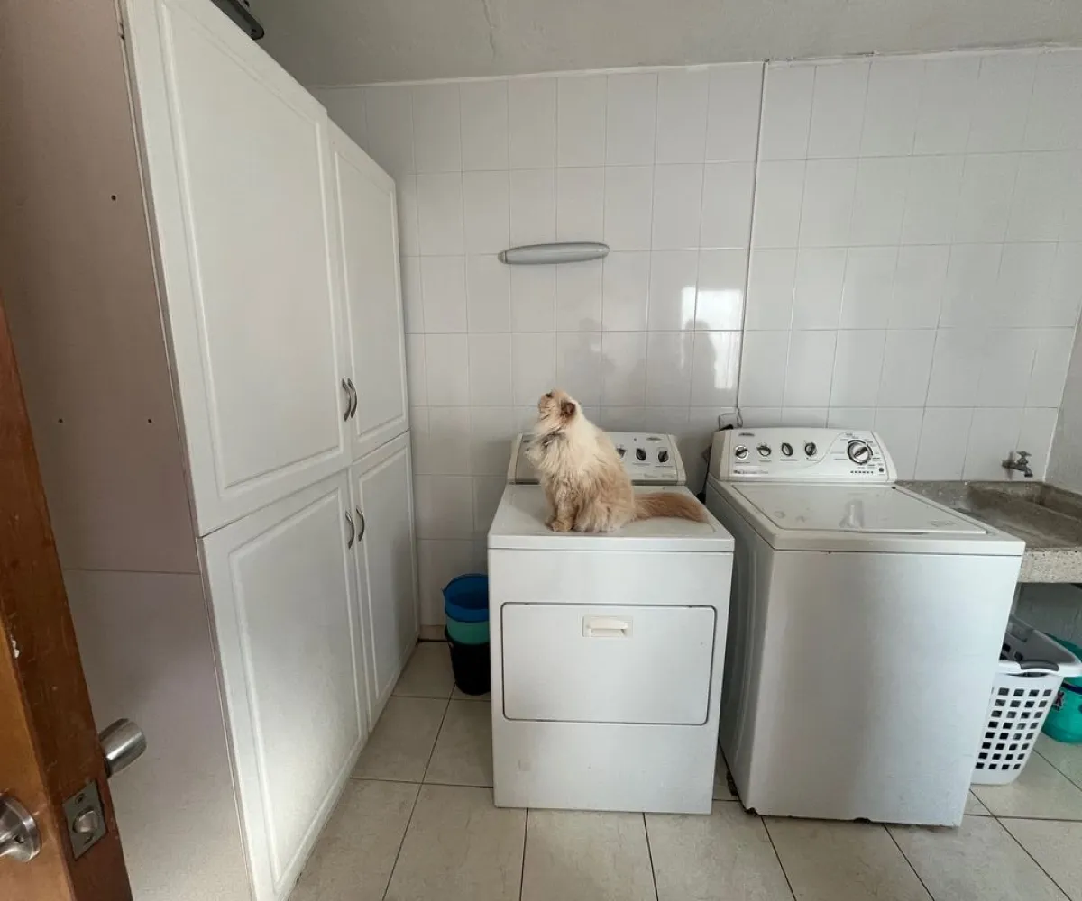 Casa En Renta,jardín real,Jardín de la Alfombrilla 13, Zapopan, Jalisco 45136, 3 Habitaciones,3 Baños,Jardín de la Alfombrilla,1,pBySU8g