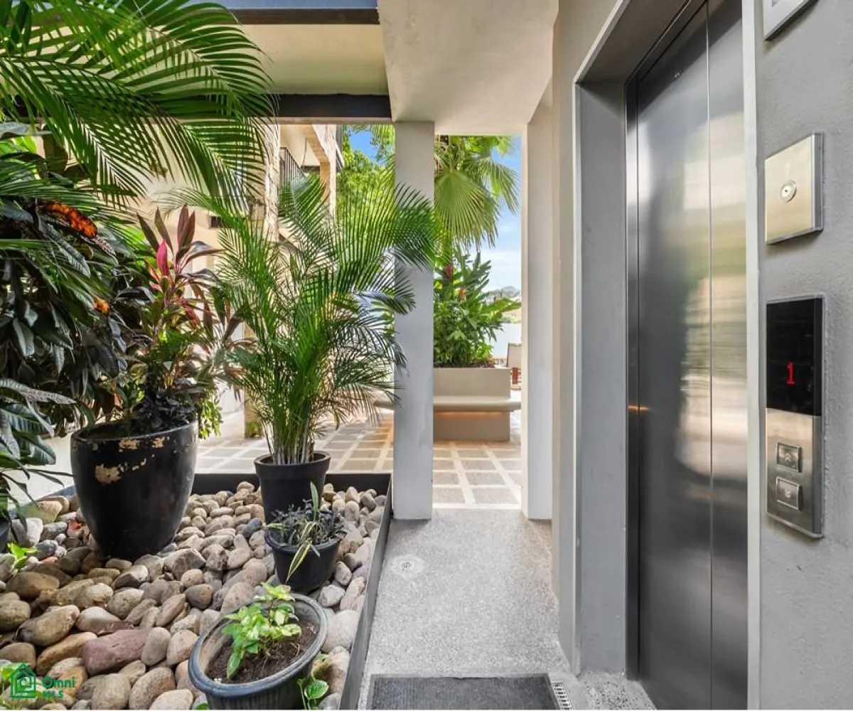 Departamento En Renta,Versalles,Palm spring S/N, Puerto Vallarta, Jalisco 48310, 2 Habitaciones,2 Baños,Palm spring,3,MX251056022