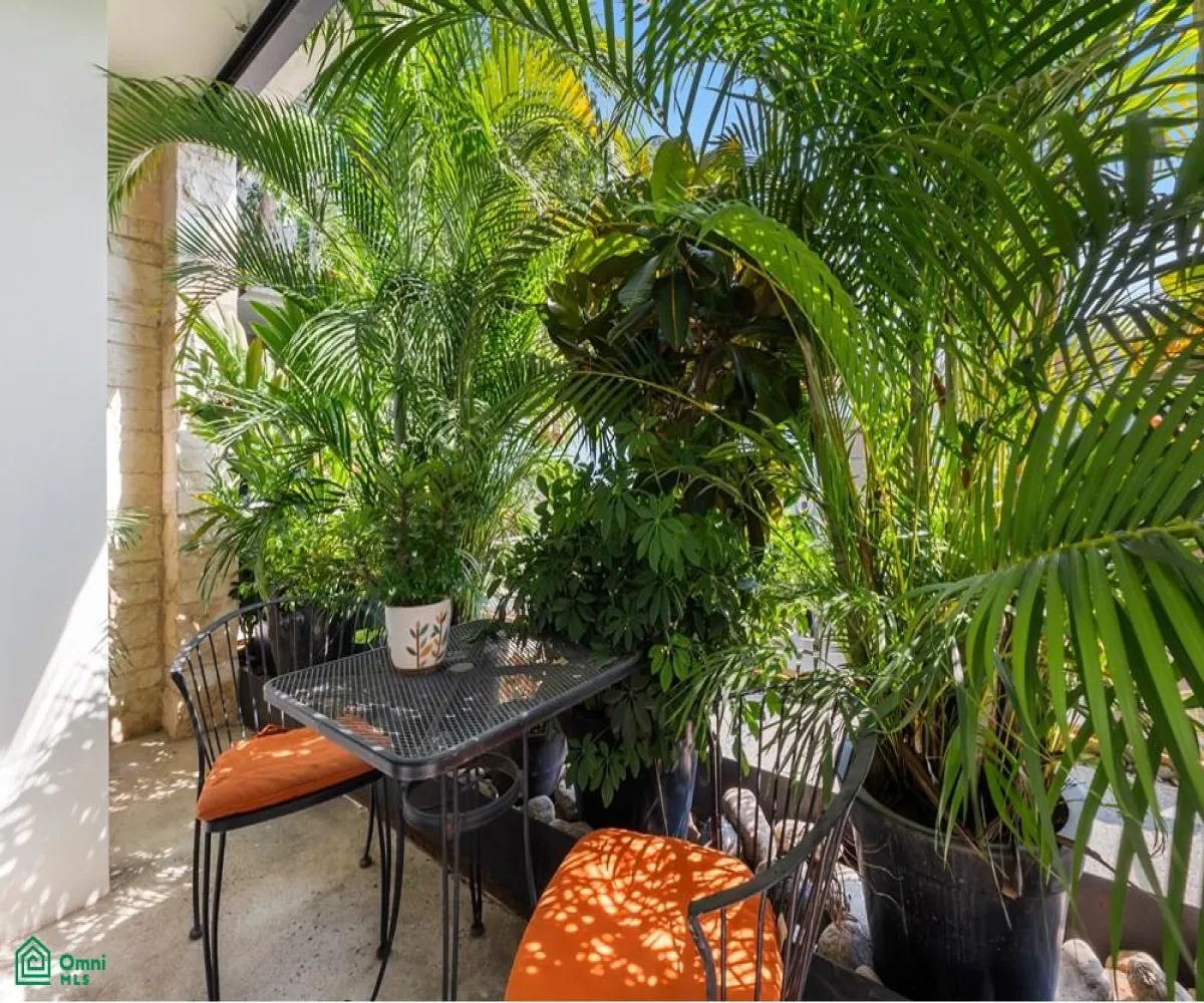 Departamento En Renta,Versalles,Palm spring S/N, Puerto Vallarta, Jalisco 48310, 2 Habitaciones,2 Baños,Palm spring,3,MX251056022