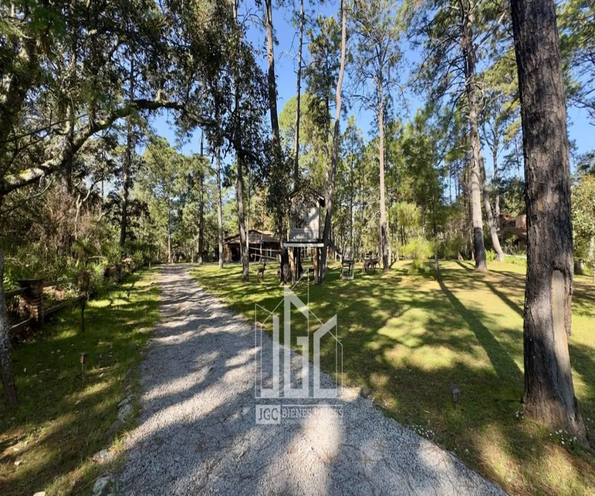 Casa En Venta,Pinares,Km 22.5 Carretera Guadalajara-Tapalpa S/N, Tapalpa, Jalisco 49341, 3 Habitaciones,2 Baños,Km 22.5 Carretera Guadalajara-Tapalpa,1,pNixybg