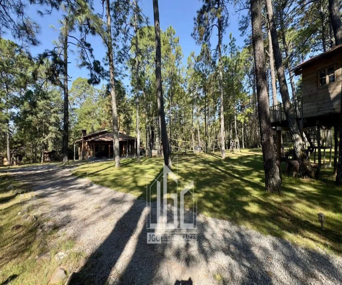 Casa En Venta,Pinares,Km 22.5 Carretera Guadalajara-Tapalpa S/N, Tapalpa, Jalisco 49341, 3 Habitaciones,2 Baños,Km 22.5 Carretera Guadalajara-Tapalpa,1,pNixybg