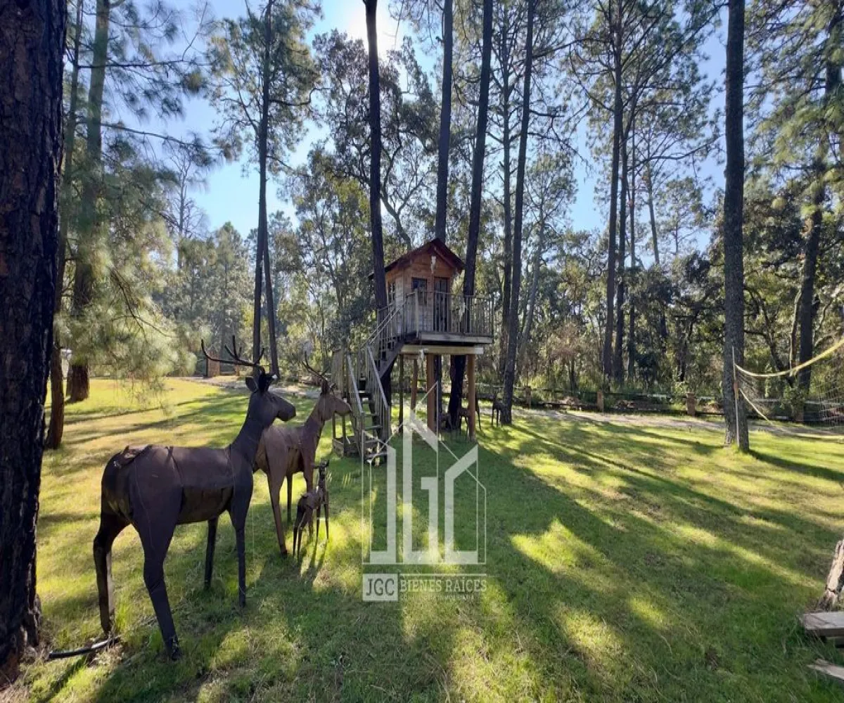 Casa En Venta,Pinares,Km 22.5 Carretera Guadalajara-Tapalpa S/N, Tapalpa, Jalisco 49341, 3 Habitaciones,2 Baños,Km 22.5 Carretera Guadalajara-Tapalpa,1,pNixybg