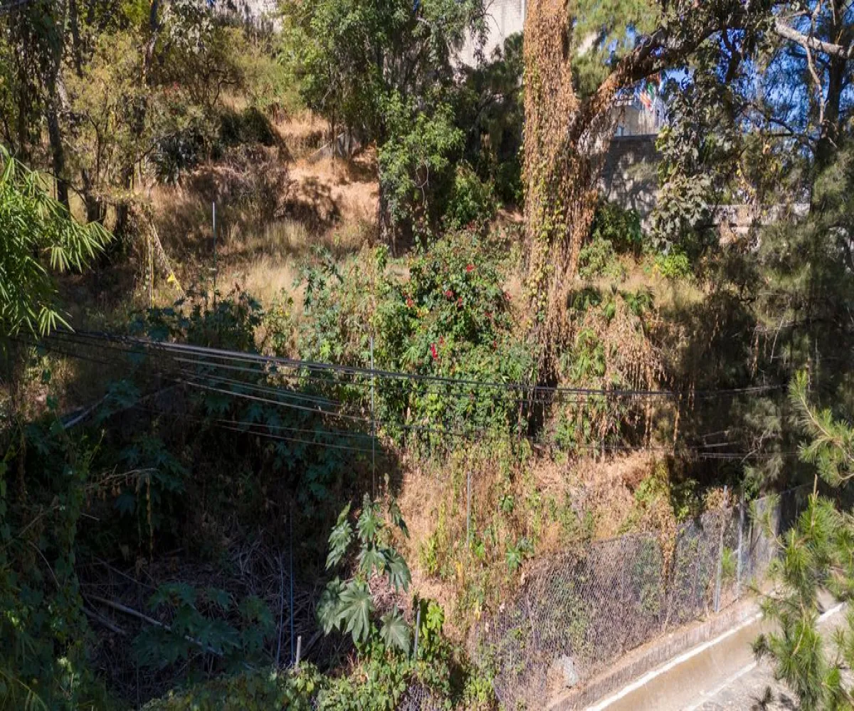 Terreno En Venta,Pinar de la Venta,Paseo del Pinar 14, Zapopan, Jalisco 45221,Paseo del Pinar,p5H1XGu