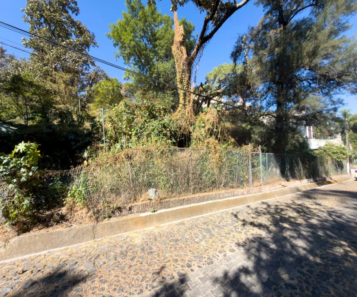 Terreno En Venta,Pinar de la Venta,Paseo del Pinar 14, Zapopan, Jalisco 45221,Paseo del Pinar,p5H1XGu