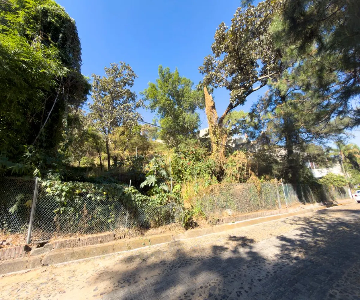 Terreno En Venta,Pinar de la Venta,Paseo del Pinar 14, Zapopan, Jalisco 45221,Paseo del Pinar,p5H1XGu