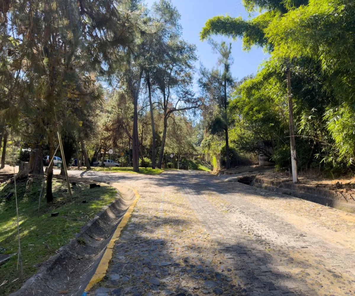 Terreno En Venta,Pinar de la Venta,Paseo del Pinar 14, Zapopan, Jalisco 45221,Paseo del Pinar,p5H1XGu