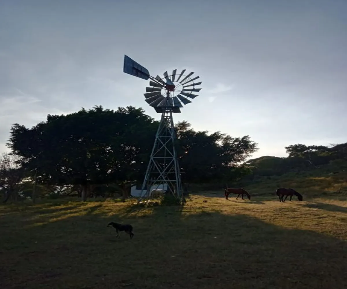 Terreno En Venta,Acatlán de Juárez Centro,PREDIO RUSTICO LA CEJA S/N, Acatlán de Juárez, Jalisco 45700, 5 Habitaciones,4 Baños,PREDIO RUSTICO LA CEJA,1,pzDFOce