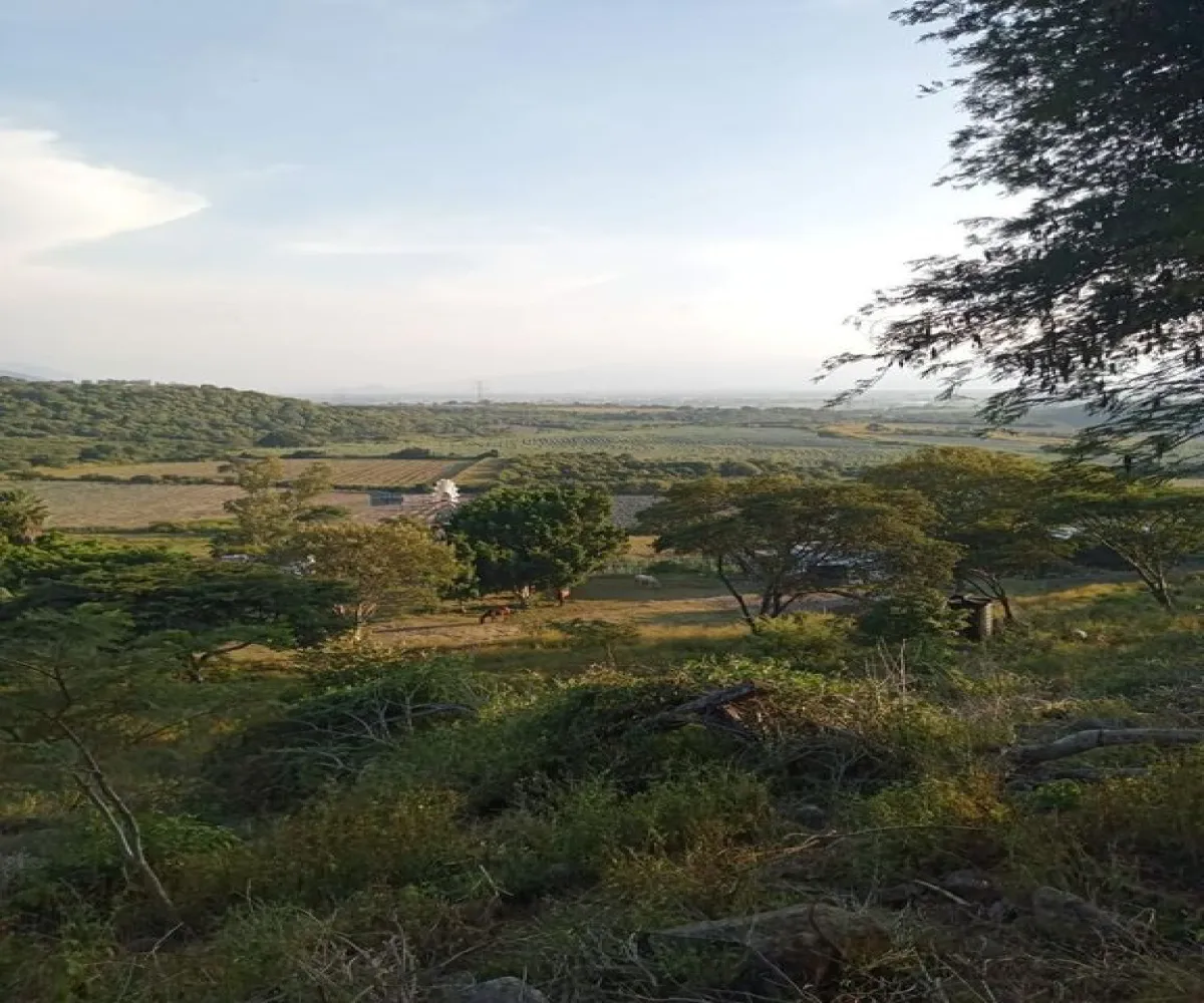Terreno En Venta,Acatlán de Juárez Centro,PREDIO RUSTICO LA CEJA S/N, Acatlán de Juárez, Jalisco 45700, 5 Habitaciones,4 Baños,PREDIO RUSTICO LA CEJA,1,pzDFOce