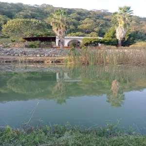 Terreno En Venta,Acatlán de Juárez Centro,PREDIO RUSTICO LA CEJA S/N, Acatlán de Juárez, Jalisco 45700, 5 Habitaciones,4 Baños,PREDIO RUSTICO LA CEJA,1,pzDFOce