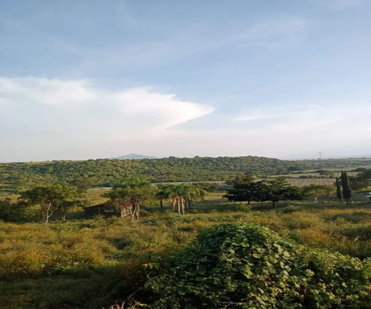 Terreno En Venta,Acatlán de Juárez Centro,PREDIO RUSTICO LA CEJA S/N, Acatlán de Juárez, Jalisco 45700, 5 Habitaciones,4 Baños,PREDIO RUSTICO LA CEJA,1,pzDFOce