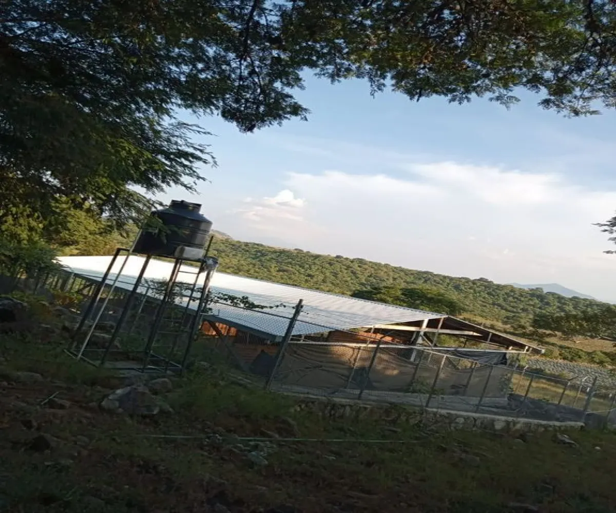 Terreno En Venta,Acatlán de Juárez Centro,PREDIO RUSTICO LA CEJA S/N, Acatlán de Juárez, Jalisco 45700, 5 Habitaciones,4 Baños,PREDIO RUSTICO LA CEJA,1,pzDFOce