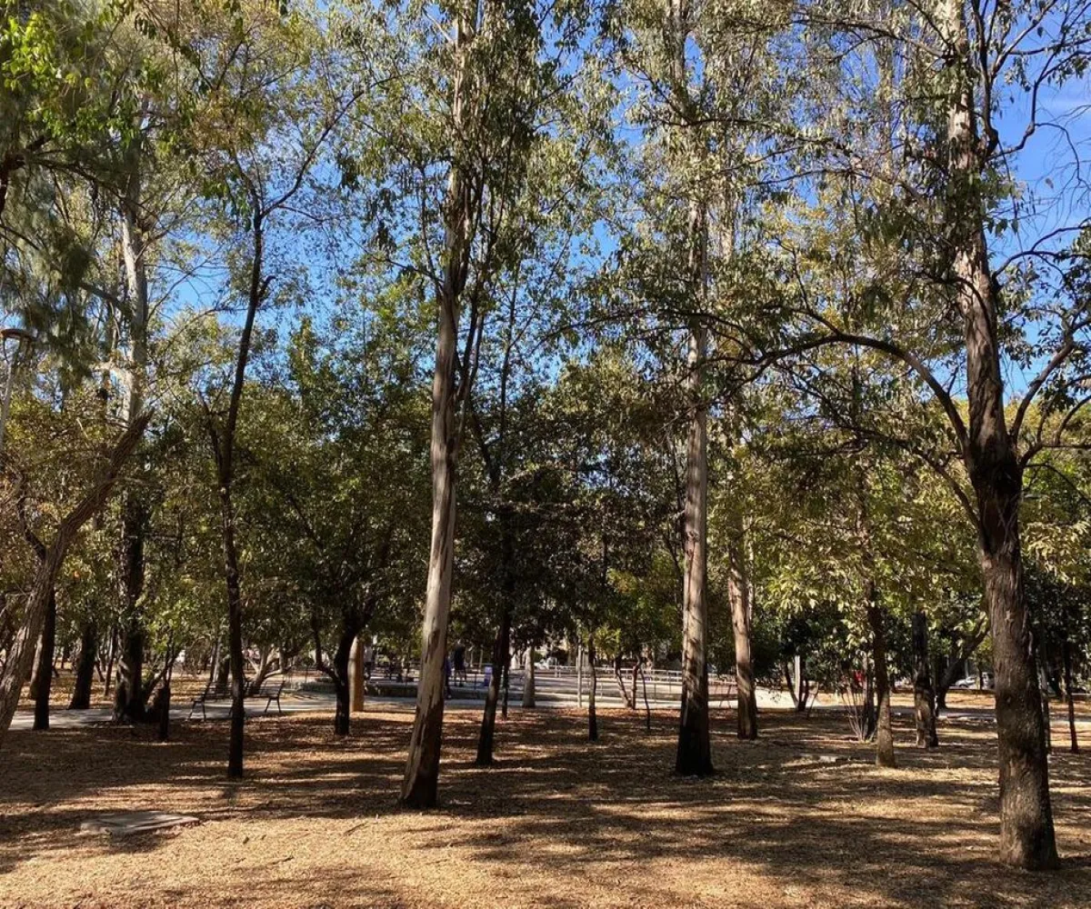 Departamento En Venta,Jardines del Bosque,Calle Parque de las Estrellas 2712 14, Guadalajara, Jalisco 44520, 2 Habitaciones,2 Baños,Calle Parque de las Estrellas,1,pLpo2UD