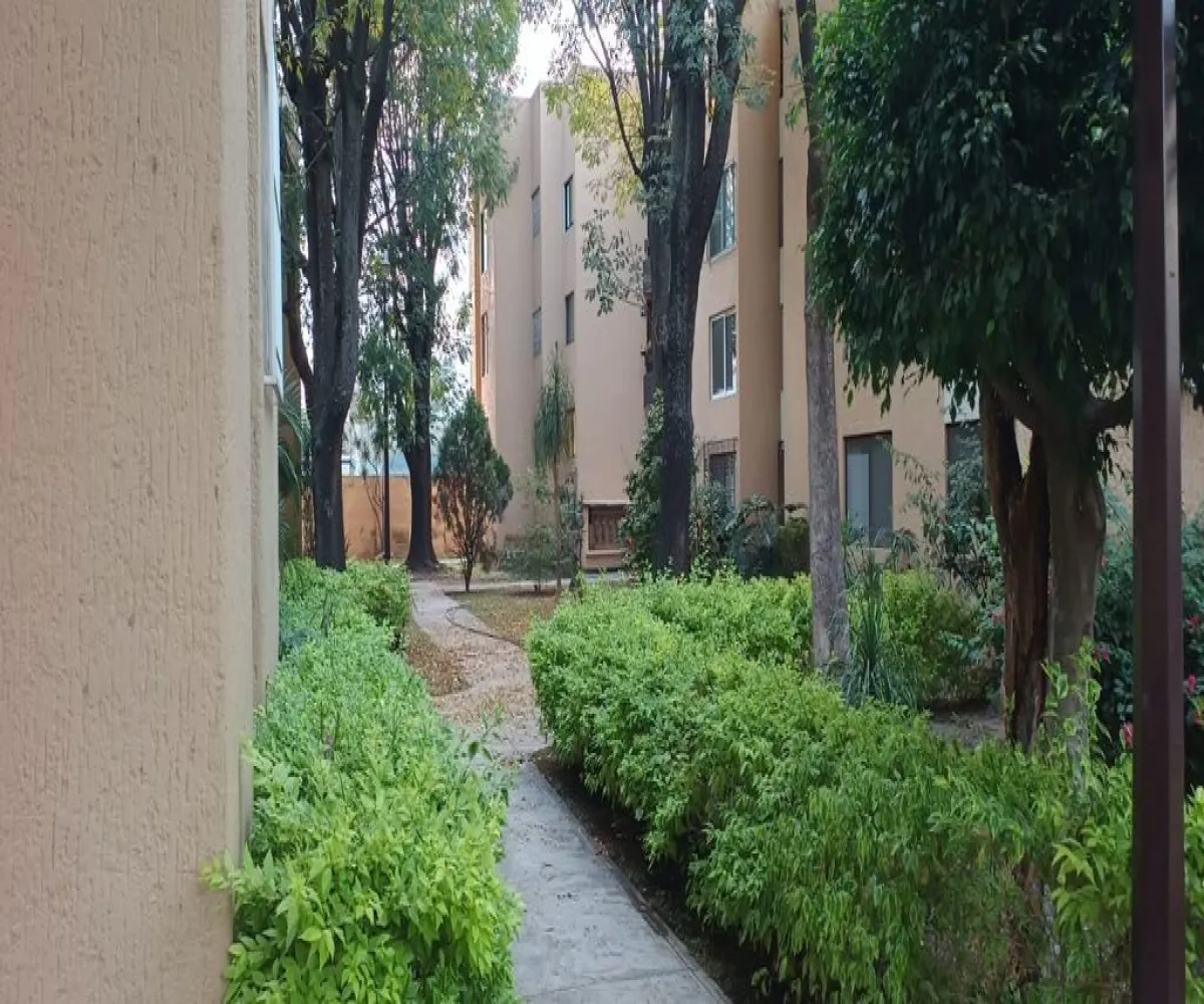 Departamento En Venta,Victoria,Alejandrina 3428, Zapopan, Jalisco 45089, 3 Habitaciones,1 Baño,Alejandrina,1,pSZ1gT9