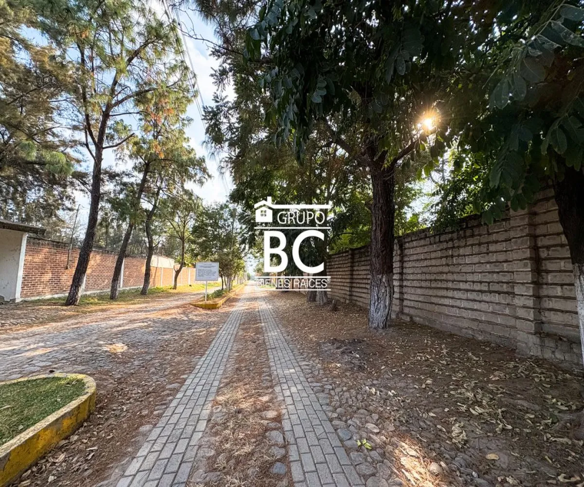 En Venta,Chulavista,Sauces 10, Tlajomulco de Zúñiga, Jalisco 45640, 1 Cuarto,1 Baño,Sauces,1,pSkhgpw