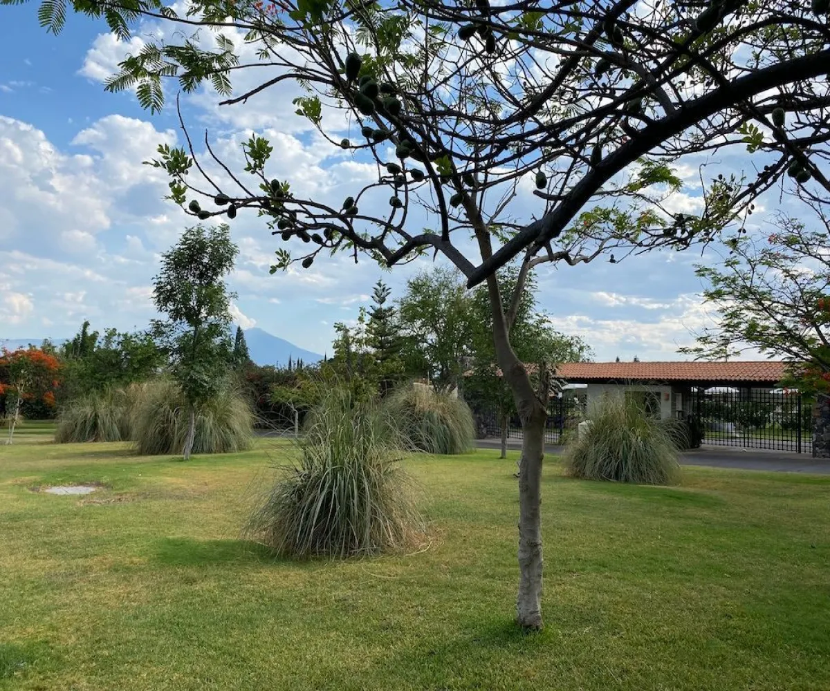 Terreno En Venta,Ajijic centro,Carretera Jocotepec-chapala 960, Jocotepec, Jalisco 45820,Carretera Jocotepec-chapala,pMJEYti