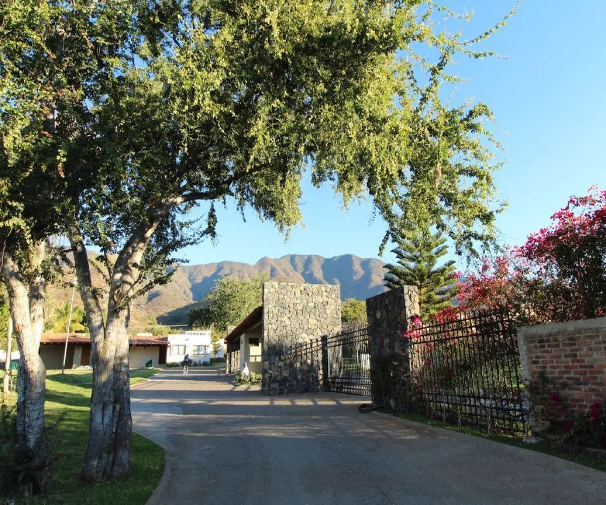 Terreno En Venta,Ajijic centro,Carretera Jocotepec-chapala 960, Jocotepec, Jalisco 45820,Carretera Jocotepec-chapala,pMJEYti