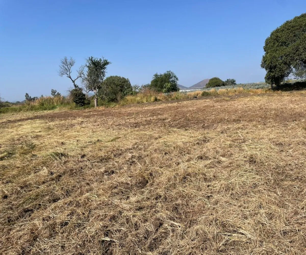 Terreno En Venta,Carretera Barra De Navidad Km 7.2, Acatlán de Juárez, Jalisco 45700,Carretera Barra De Navidad,pkofea9