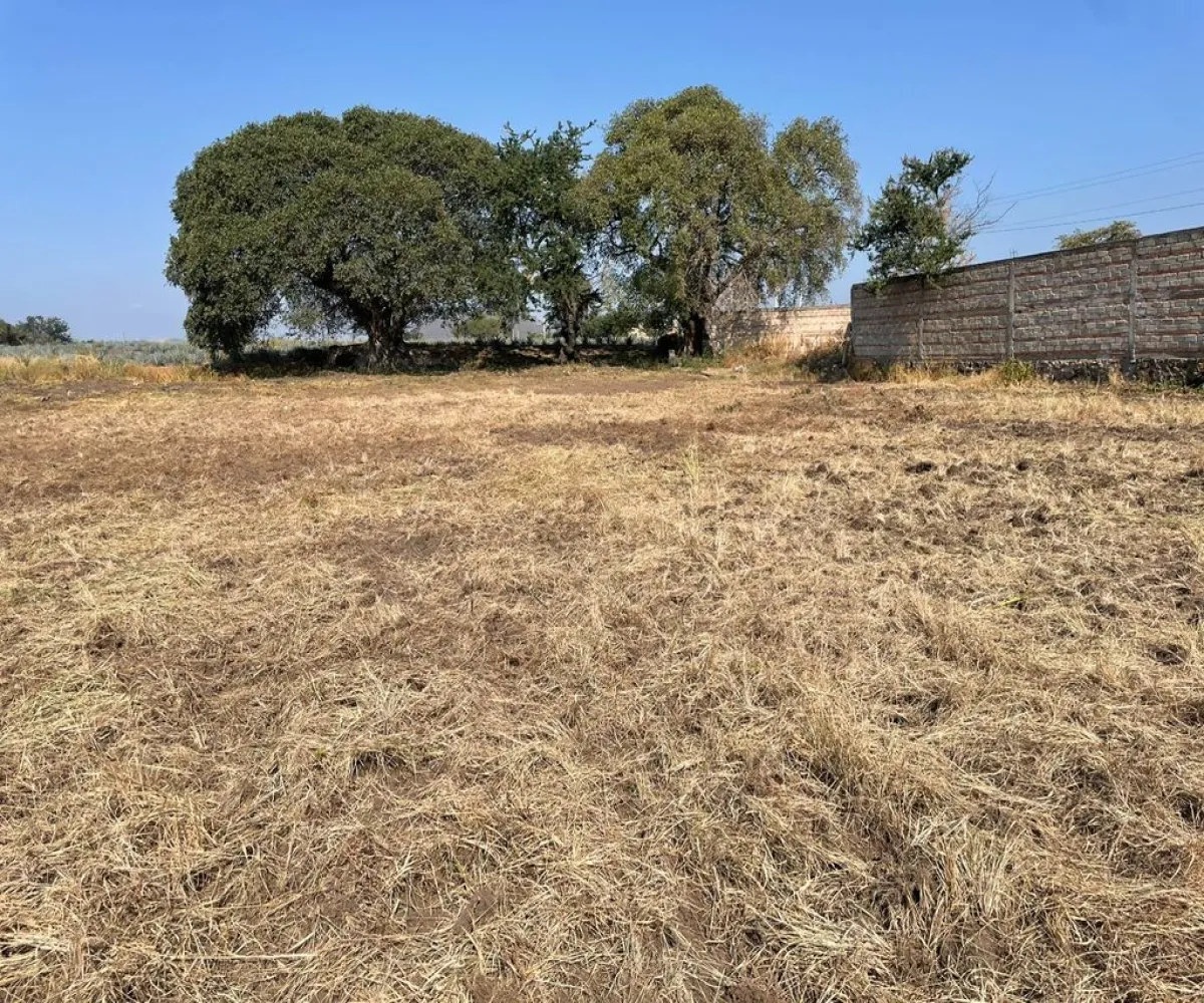 Terreno En Venta,Carretera Barra De Navidad Km 7.2, Acatlán de Juárez, Jalisco 45700,Carretera Barra De Navidad,pkofea9